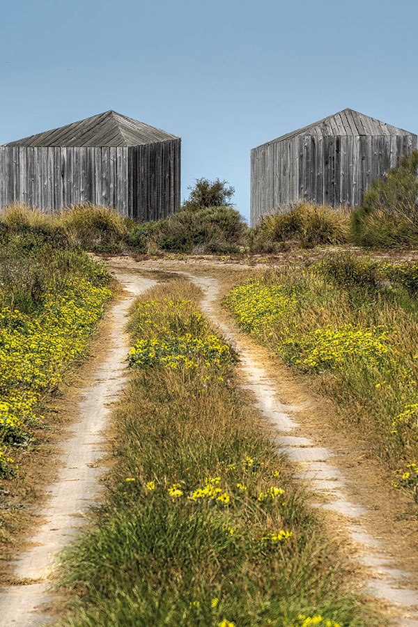 Portugal sorprende | Ethimo