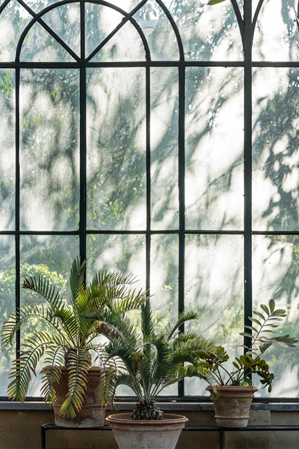 Iconic gardens | Ethimo