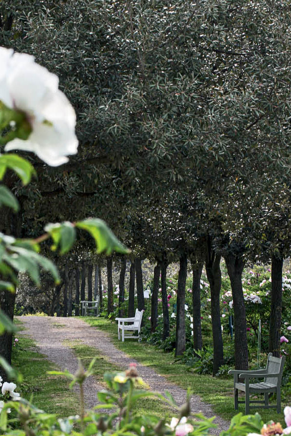 Una historia de naturaleza y diseño | Ethimo